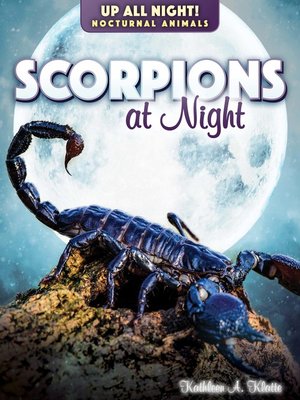 cover image of Scorpions at Night